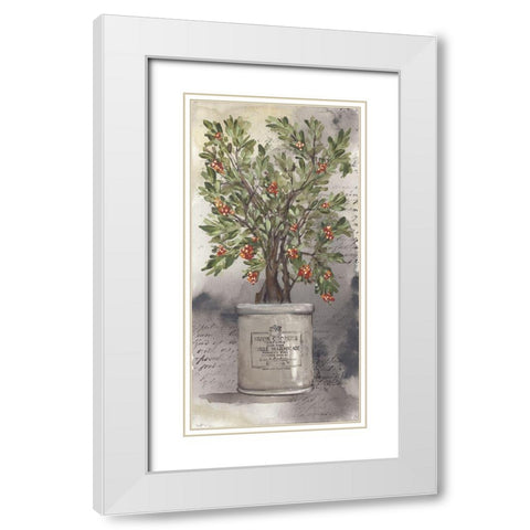 Bittersweet Bush White Modern Wood Framed Art Print with Double Matting by Norkus, Julie