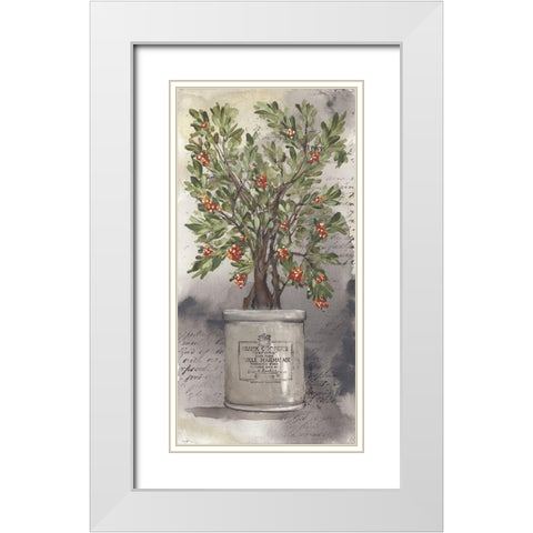 Bittersweet Bush White Modern Wood Framed Art Print with Double Matting by Norkus, Julie