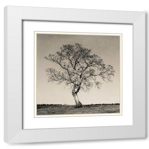 Tree No. 54 White Modern Wood Framed Art Print with Double Matting by Rigsby, Jennifer