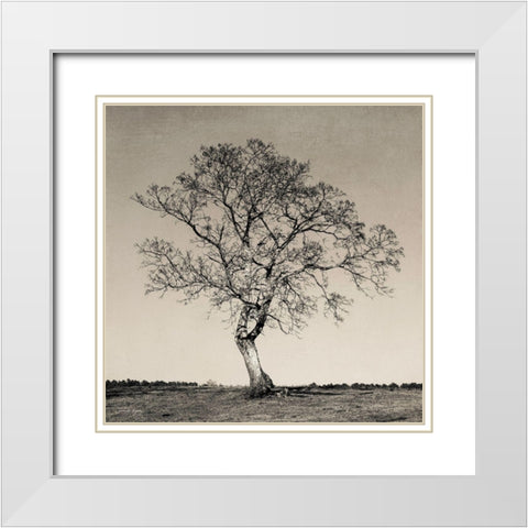 Tree No. 54 White Modern Wood Framed Art Print with Double Matting by Rigsby, Jennifer