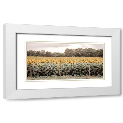 Sunflower Field No. 7 White Modern Wood Framed Art Print with Double Matting by Rigsby, Jennifer