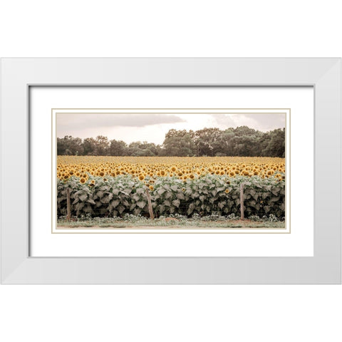 Sunflower Field No. 7 White Modern Wood Framed Art Print with Double Matting by Rigsby, Jennifer