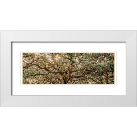 Low Country Oaks I White Modern Wood Framed Art Print with Double Matting by Rigsby, Jennifer