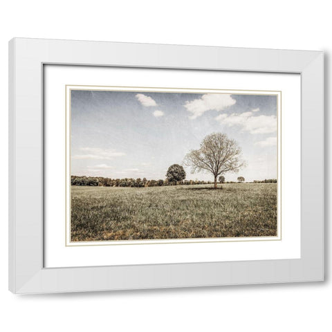 Together in the Fields I White Modern Wood Framed Art Print with Double Matting by Rigsby, Jennifer
