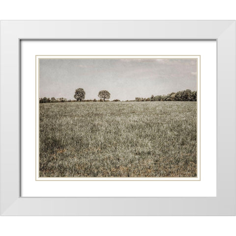 Together in the Fields II White Modern Wood Framed Art Print with Double Matting by Rigsby, Jennifer