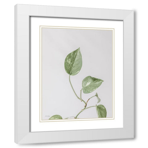 Boho Pothos White Modern Wood Framed Art Print with Double Matting by Rigsby, Jennifer