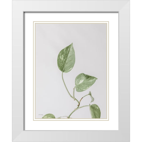 Boho Pothos White Modern Wood Framed Art Print with Double Matting by Rigsby, Jennifer