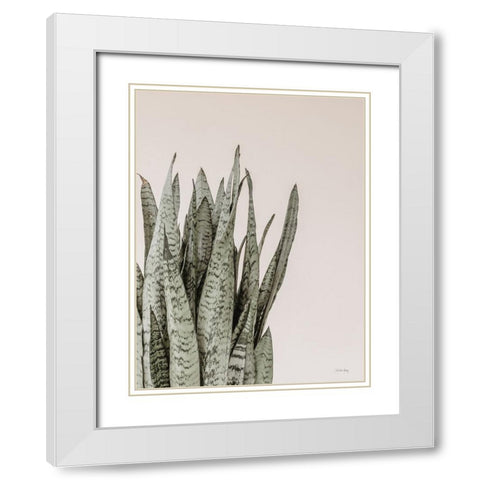 Boho Snake Plant White Modern Wood Framed Art Print with Double Matting by Rigsby, Jennifer