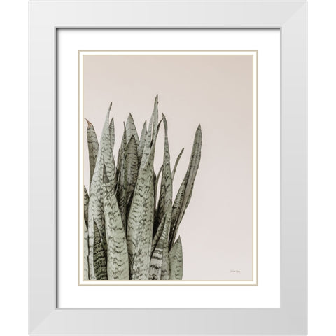 Boho Snake Plant White Modern Wood Framed Art Print with Double Matting by Rigsby, Jennifer