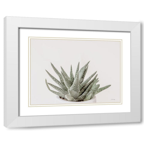 Boho Succulent White Modern Wood Framed Art Print with Double Matting by Rigsby, Jennifer