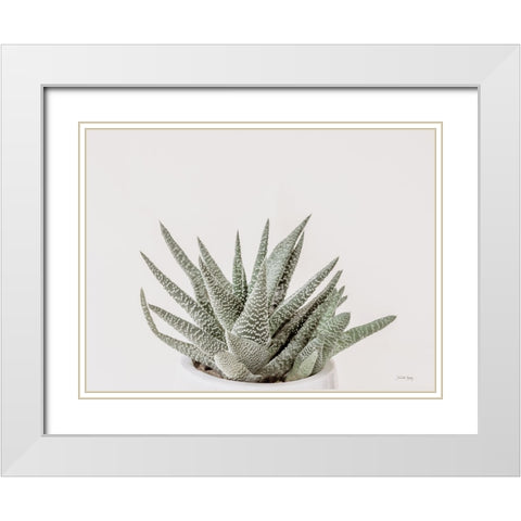 Boho Succulent White Modern Wood Framed Art Print with Double Matting by Rigsby, Jennifer