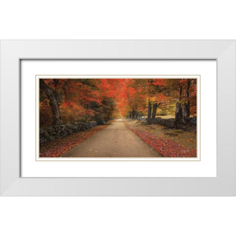 October Lane White Modern Wood Framed Art Print with Double Matting by Vieira, Robin-Lee