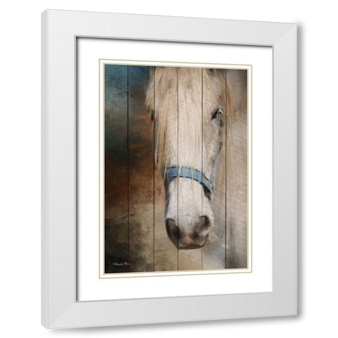 Old Gray Mare White Modern Wood Framed Art Print with Double Matting by Vieira, Robin-Lee