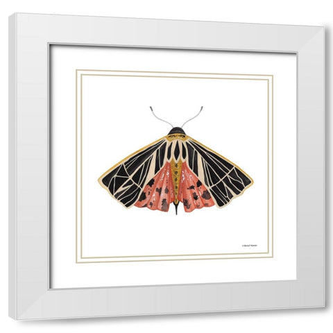 Naturally Wonderful Moth White Modern Wood Framed Art Print with Double Matting by Nieman, Rachel
