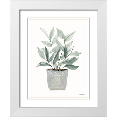 Sage Planter White Modern Wood Framed Art Print with Double Matting by Nieman, Rachel