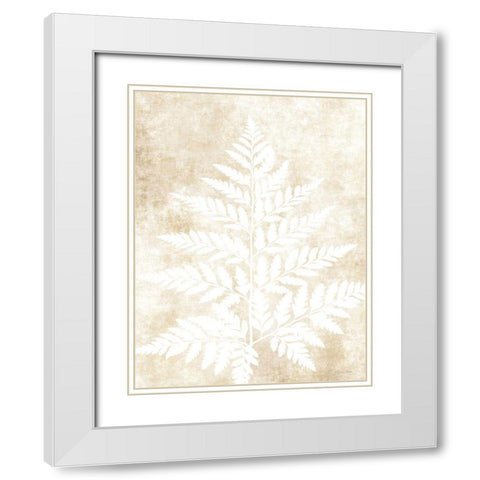 Fern Frond 3 White Modern Wood Framed Art Print with Double Matting by Ball, Susan