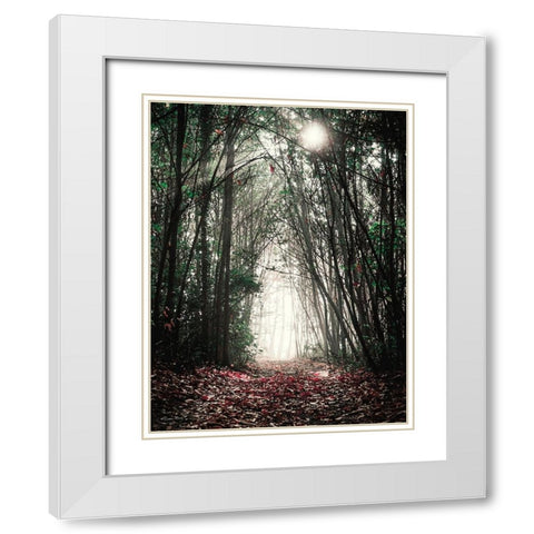Path in the Woods White Modern Wood Framed Art Print with Double Matting by Ball, Susan