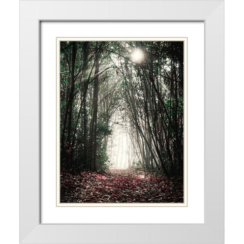 Path in the Woods White Modern Wood Framed Art Print with Double Matting by Ball, Susan