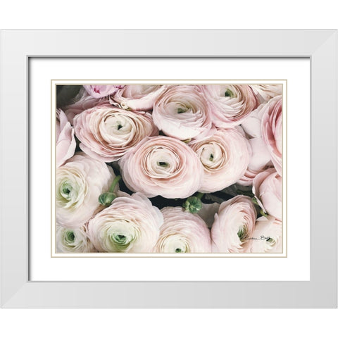 Soft Pink Ranunculus White Modern Wood Framed Art Print with Double Matting by Ball, Susan
