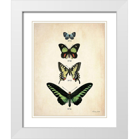 Butterflies 1     White Modern Wood Framed Art Print with Double Matting by Ball, Susan