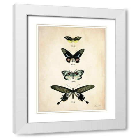 Butterflies 3      White Modern Wood Framed Art Print with Double Matting by Ball, Susan