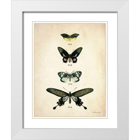 Butterflies 3      White Modern Wood Framed Art Print with Double Matting by Ball, Susan