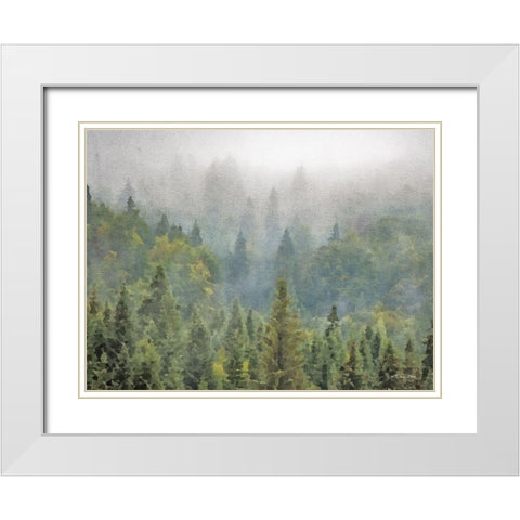 Pines White Modern Wood Framed Art Print with Double Matting by Ball, Susan