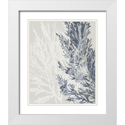 Transparent Coral 1 White Modern Wood Framed Art Print with Double Matting by Stellar Design Studio