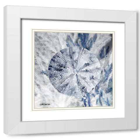 Ocean Collection 2 White Modern Wood Framed Art Print with Double Matting by Stellar Design Studio