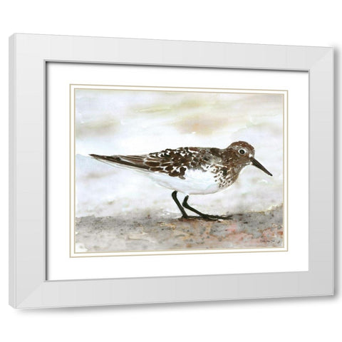 Sandpiper 1 White Modern Wood Framed Art Print with Double Matting by Stellar Design Studio