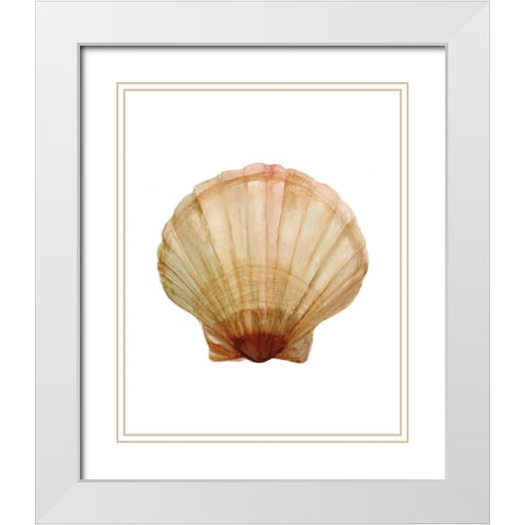 Neutral Shell Collection 2   White Modern Wood Framed Art Print with Double Matting by Stellar Design Studio