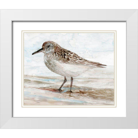 Sanibel Piper 1   White Modern Wood Framed Art Print with Double Matting by Stellar Design Studio