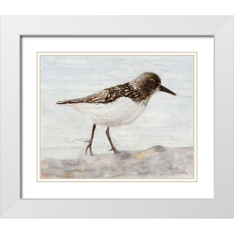 Sanibel Piper 2   White Modern Wood Framed Art Print with Double Matting by Stellar Design Studio