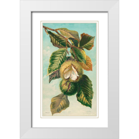 Tree Branch with Fruit II White Modern Wood Framed Art Print with Double Matting by Stellar Design Studio