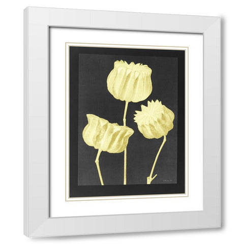 Forms in Nature 1 White Modern Wood Framed Art Print with Double Matting by Stellar Design Studio