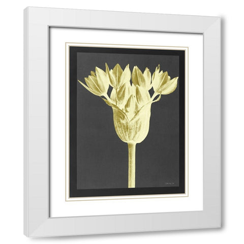 Forms in Nature 3 White Modern Wood Framed Art Print with Double Matting by Stellar Design Studio