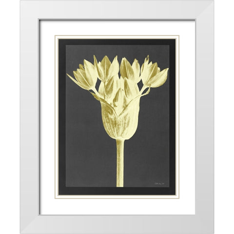 Forms in Nature 3 White Modern Wood Framed Art Print with Double Matting by Stellar Design Studio