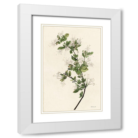 Wood Pewee White Modern Wood Framed Art Print with Double Matting by Stellar Design Studio