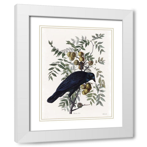 Vintage Crow 1 White Modern Wood Framed Art Print with Double Matting by Stellar Design Studio