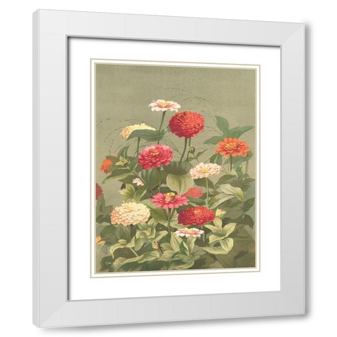 Antique Botanical Collection 1 White Modern Wood Framed Art Print with Double Matting by Stellar Design Studio