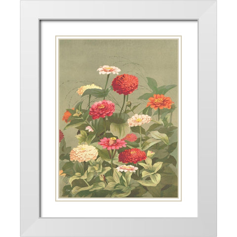 Antique Botanical Collection 1 White Modern Wood Framed Art Print with Double Matting by Stellar Design Studio