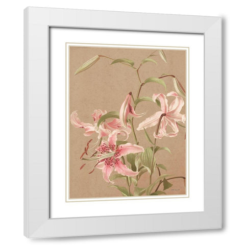 Antique Botanical Collection 3 White Modern Wood Framed Art Print with Double Matting by Stellar Design Studio