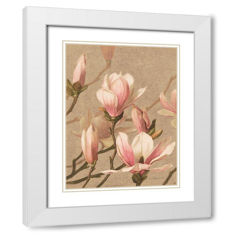 Antique Botanical Collection 4 White Modern Wood Framed Art Print with Double Matting by Stellar Design Studio