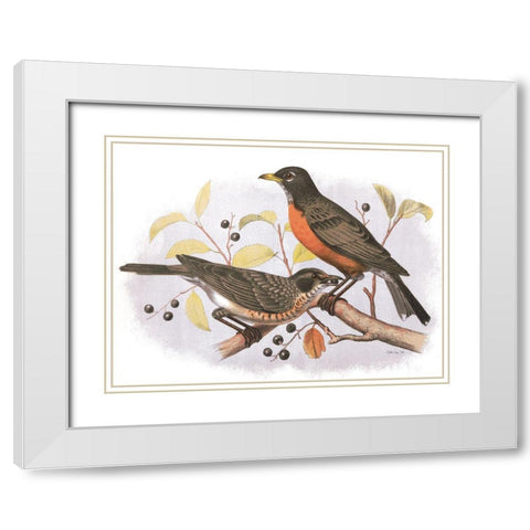 Birds and Berries White Modern Wood Framed Art Print with Double Matting by Stellar Design Studio