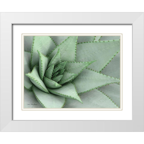 Pointy Tip Succulent White Modern Wood Framed Art Print with Double Matting by Seven Trees Design