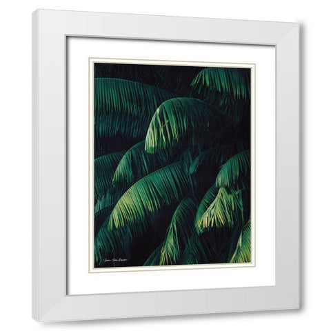 Palm Leaves   White Modern Wood Framed Art Print with Double Matting by Seven Trees Design
