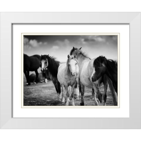 Black and White Horses    White Modern Wood Framed Art Print with Double Matting by Seven Trees Design