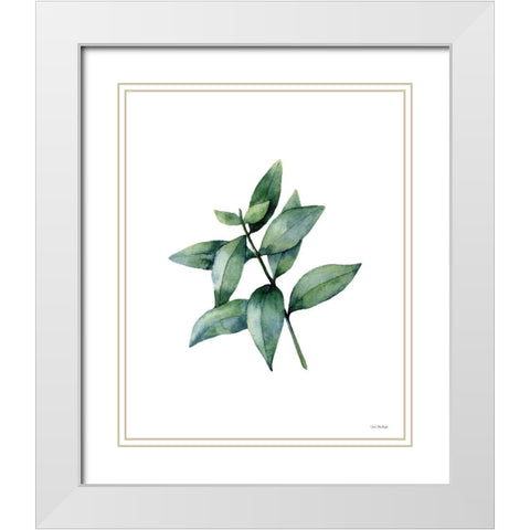 Eucalyptus IV White Modern Wood Framed Art Print with Double Matting by Seven Trees Design