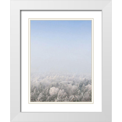 Snow Forest from the Sky   White Modern Wood Framed Art Print with Double Matting by Seven Trees Design