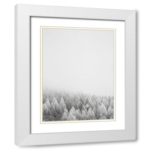 The White Forest   White Modern Wood Framed Art Print with Double Matting by Seven Trees Design